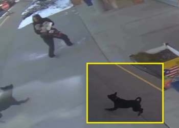 Una madre junto a su niño.