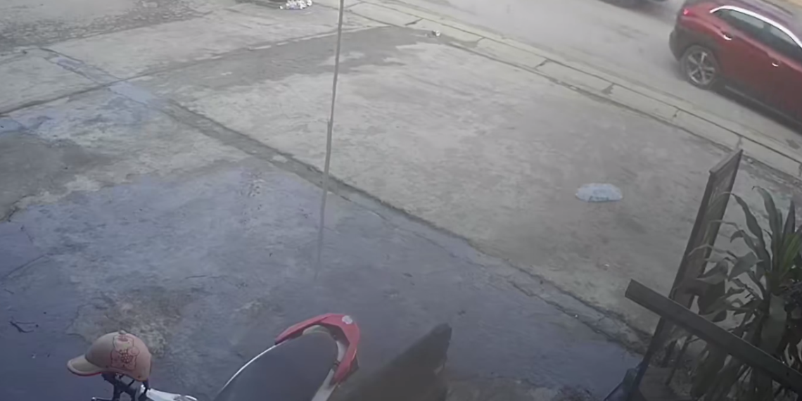 Un camionero en la avenida.