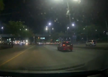 Se metió corriendo en la avenida.