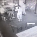 Pelea multitudinaria en un bar