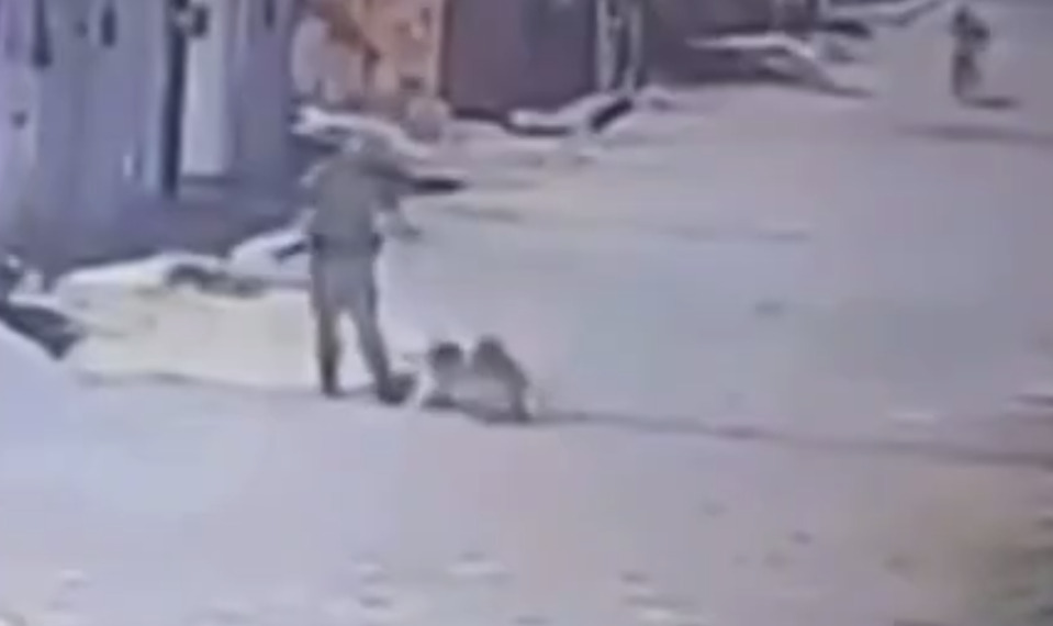 Mientras caminaba con su cachorro.