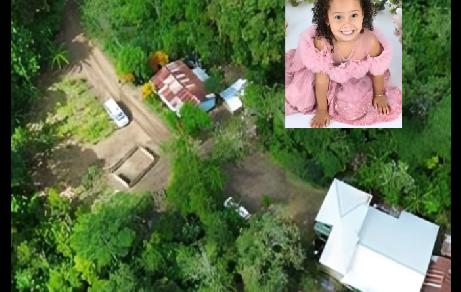 LA VEGA MUNDIAL BUSCA A BRIANNA